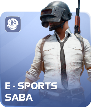 E Sports Ho88