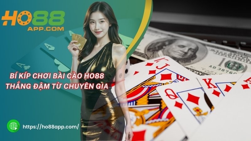 Bí kíp chơi bài cào HO88 thắng đậm từ chuyên gia Bí kíp chơi bài cào HO88 thắng đậm từ chuyên gia